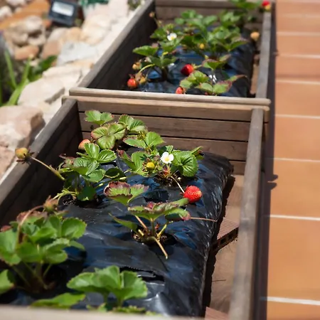 Chez Nous Vendégház