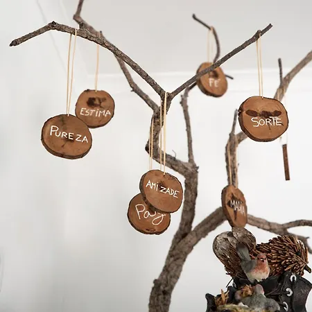 Chez Nous Affittacamere 4*